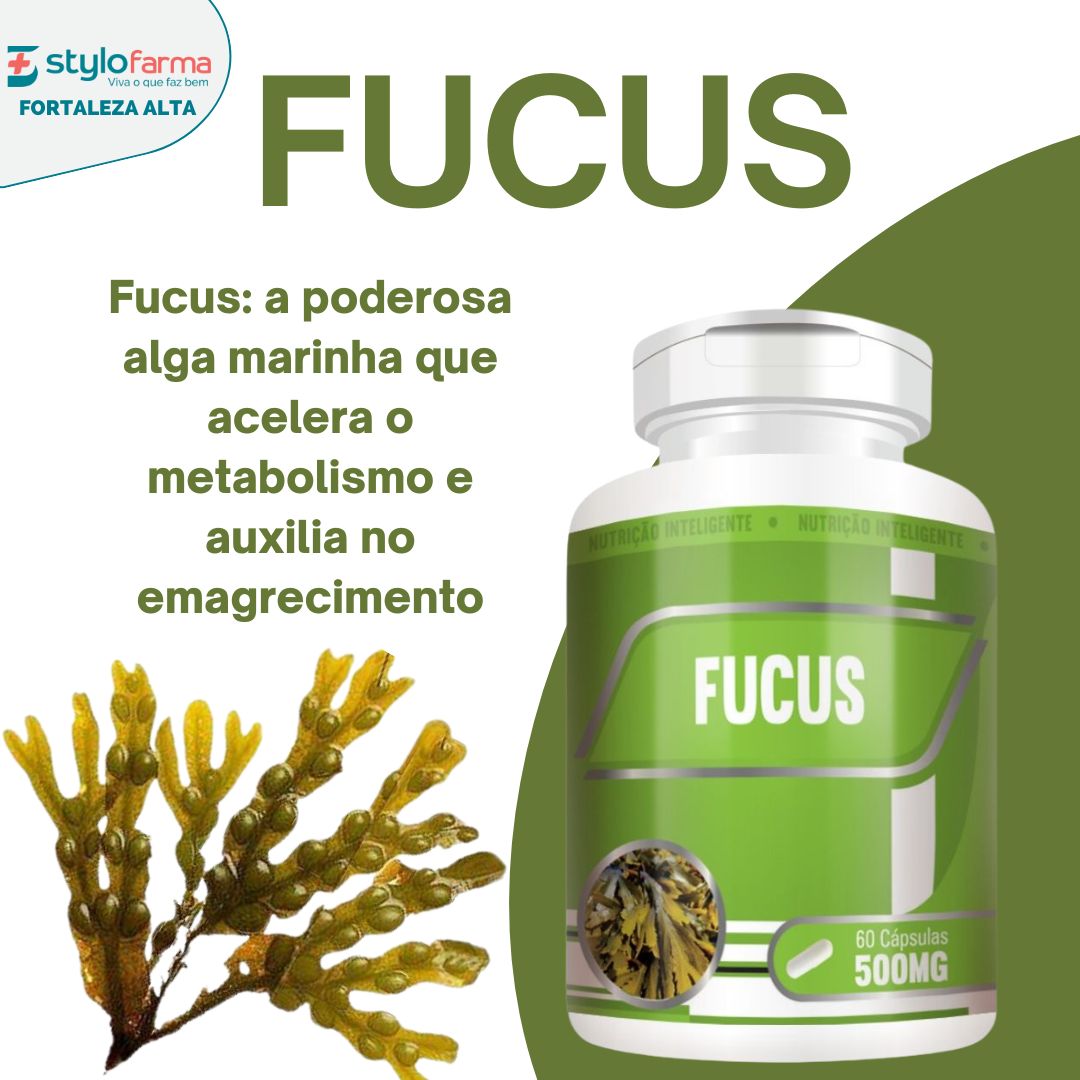 Fucus: a poderosa alga marinha que acelera o metabolismo e auxilia no emagrecimento
